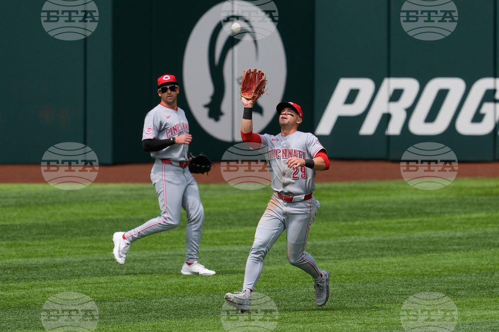 Reds Rangers Baseball