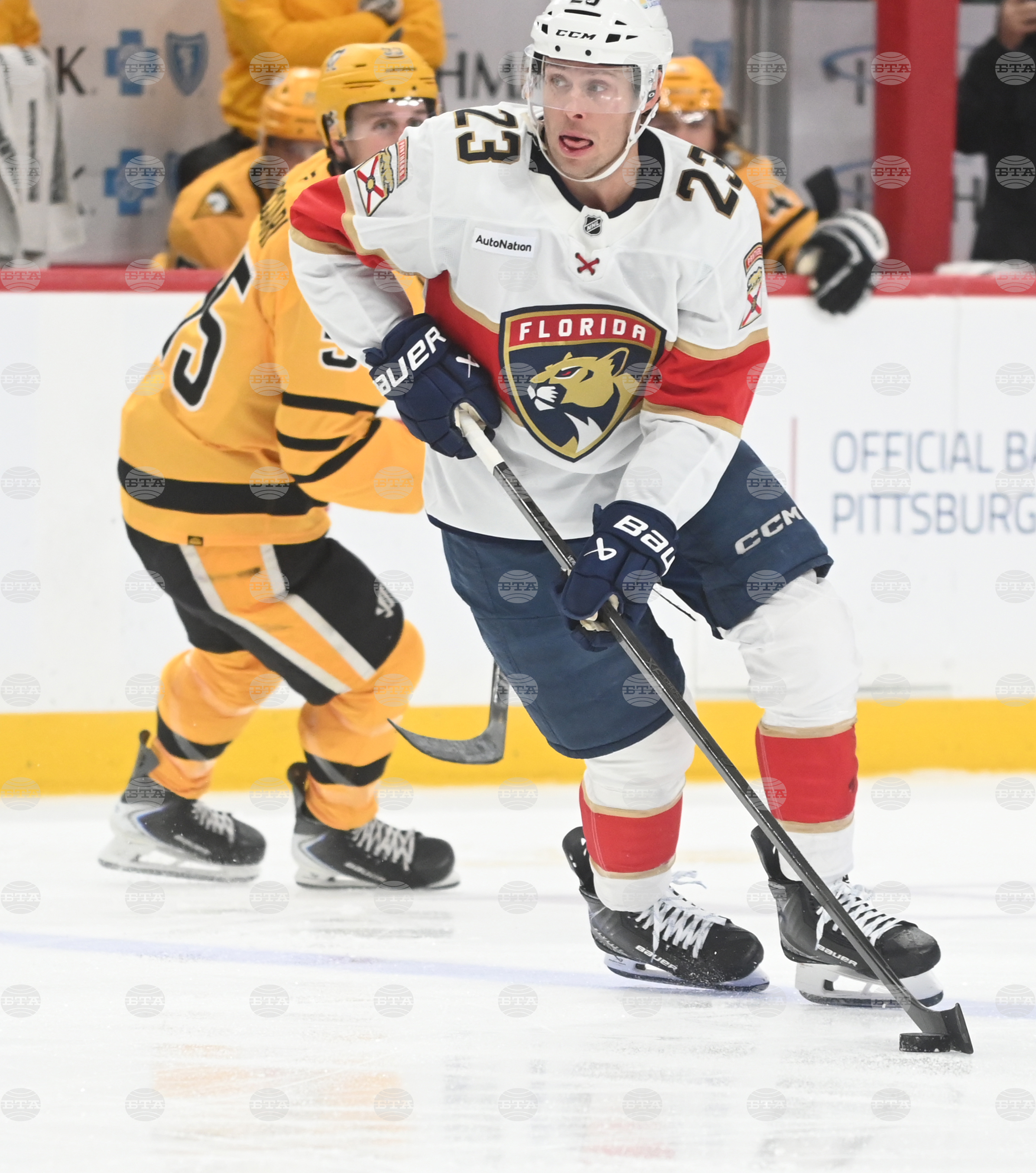 Panthers Penguins Hockey
