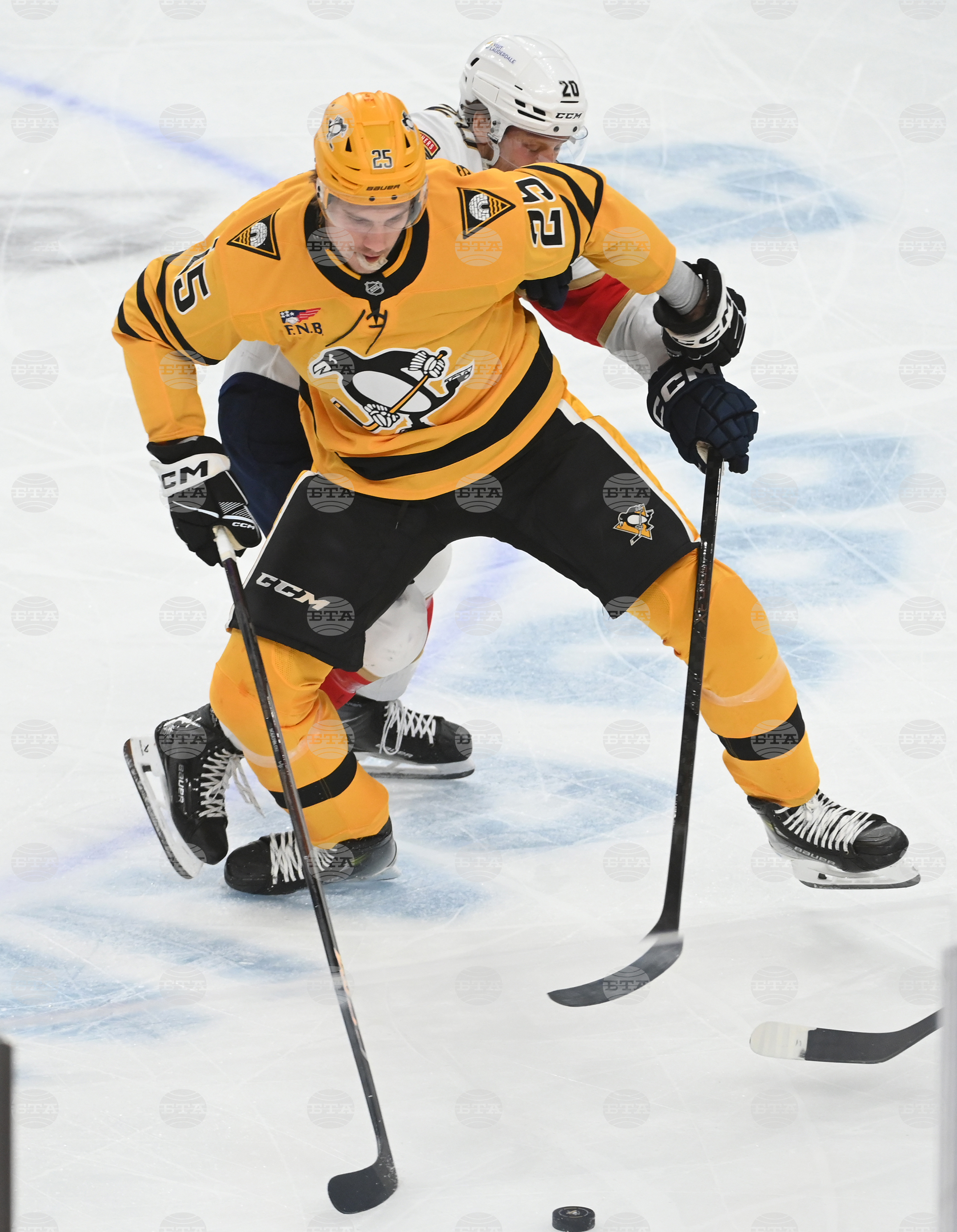 Panthers Penguins Hockey