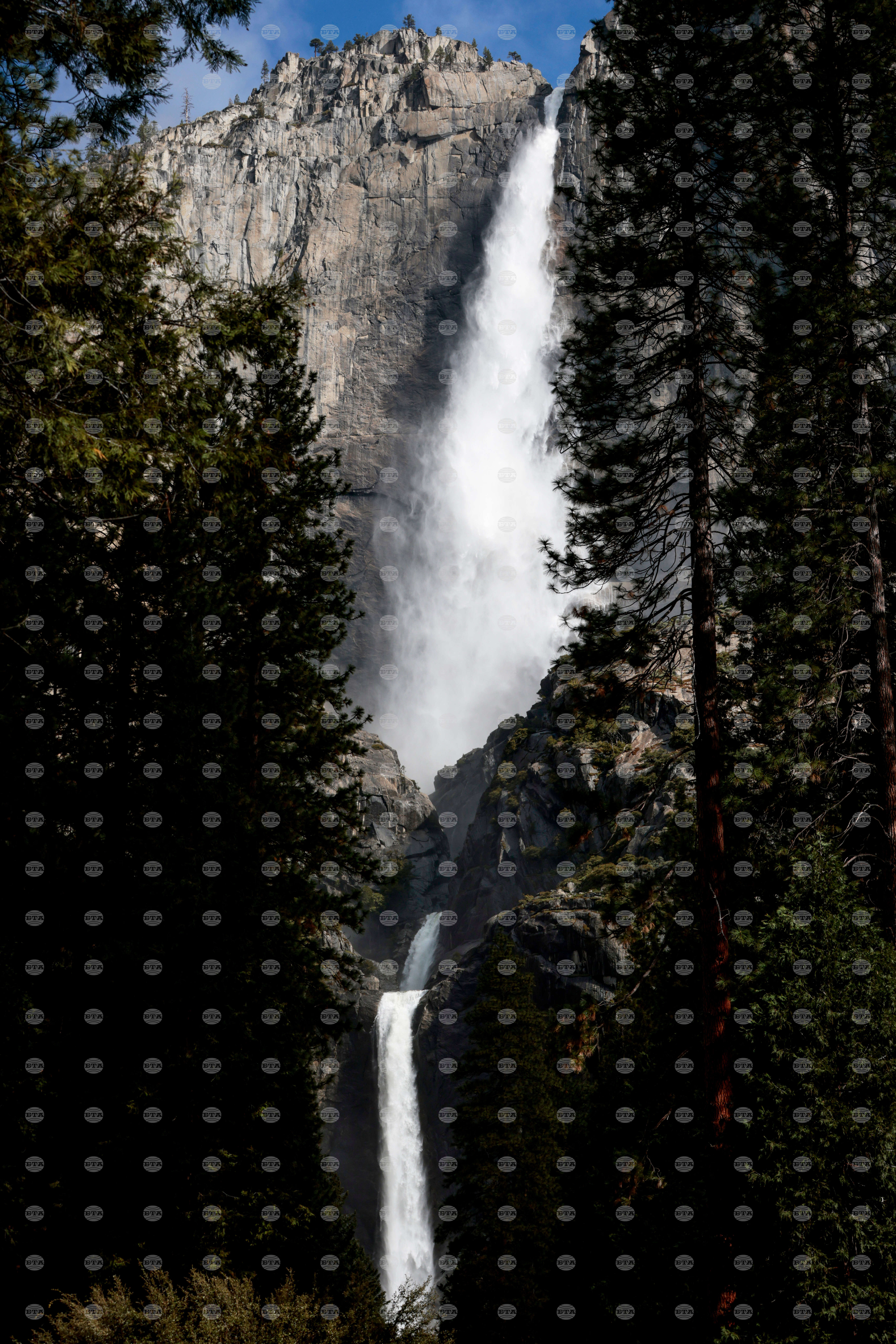 California Yosemite National Park