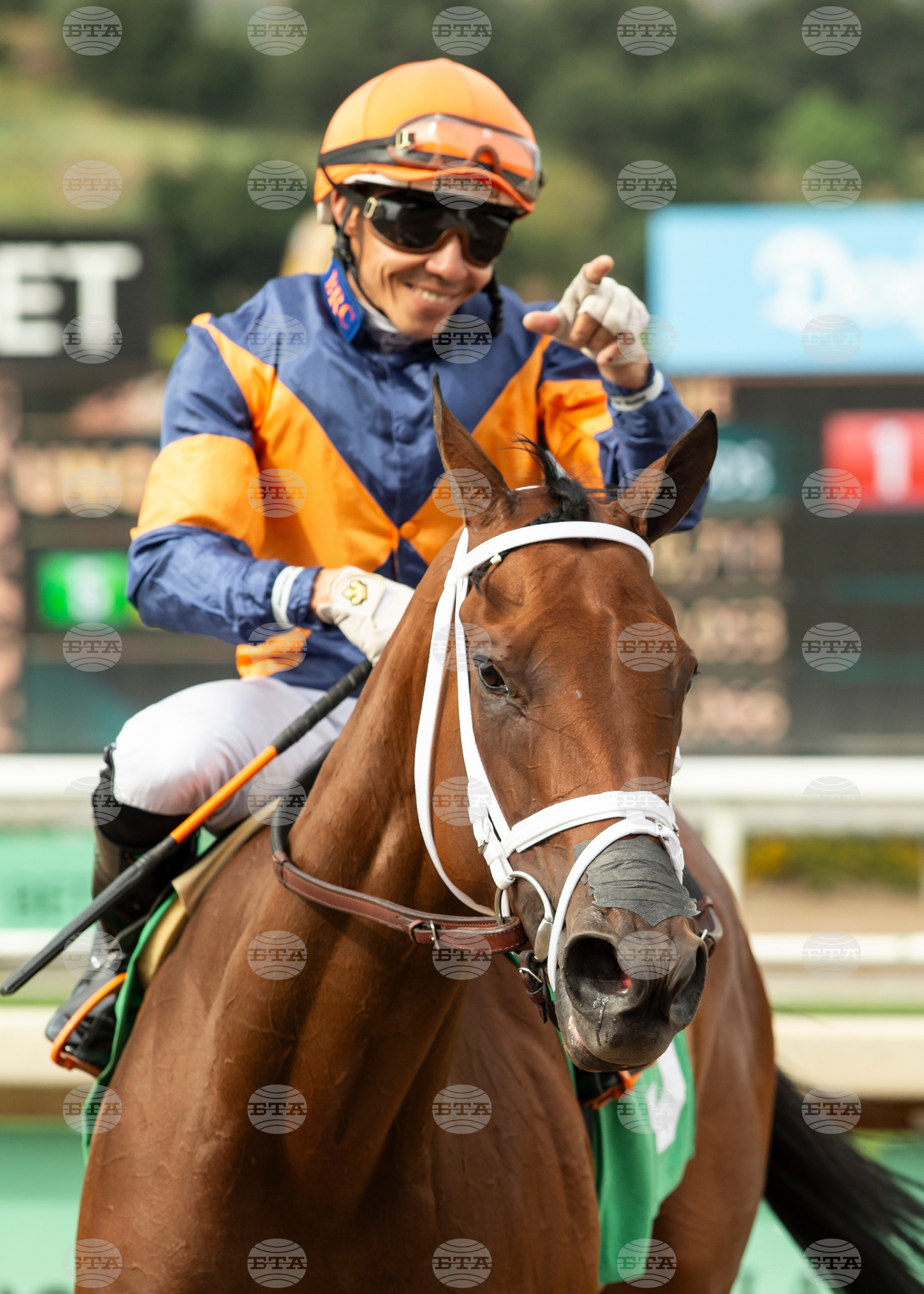 Santa Anita Horse Racing