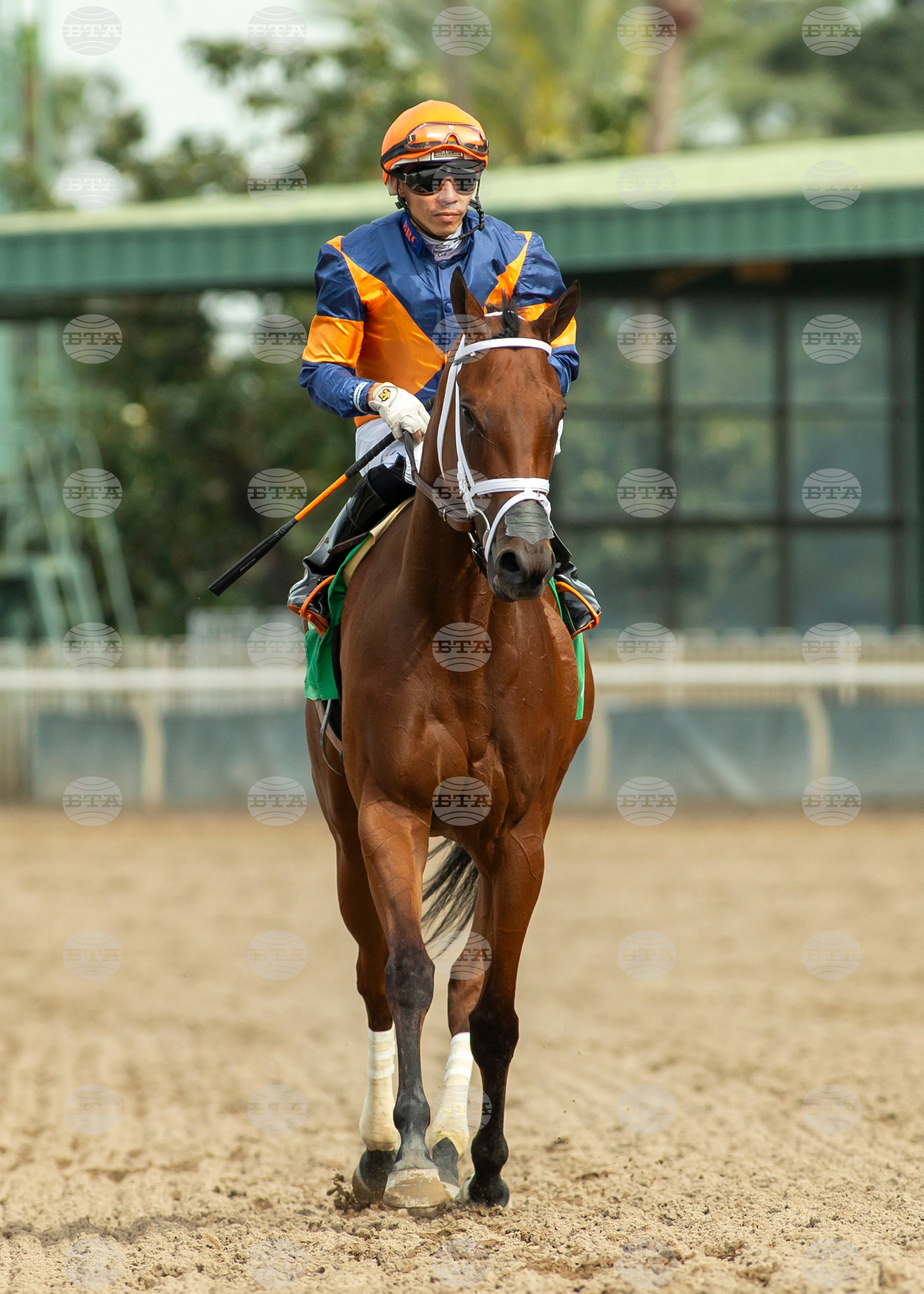 Santa Anita Horse Racing
