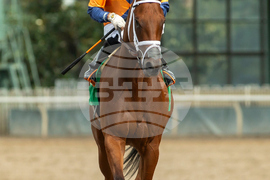 Santa Anita Horse Racing