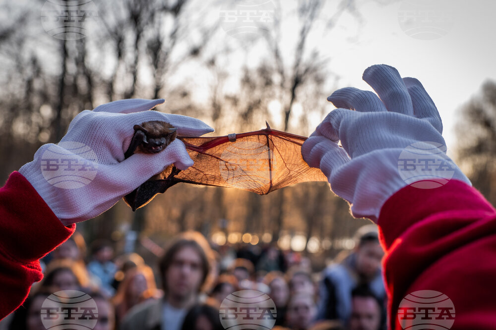 Russia Ukraine War Rescuing Bats
