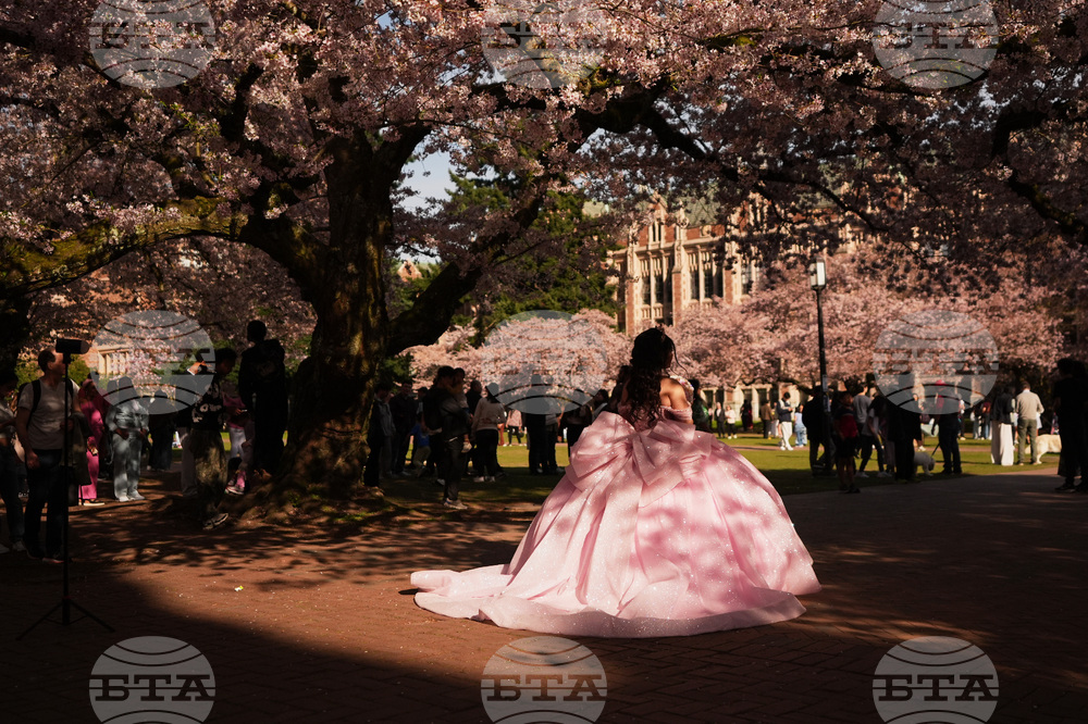 Washington Daily Life