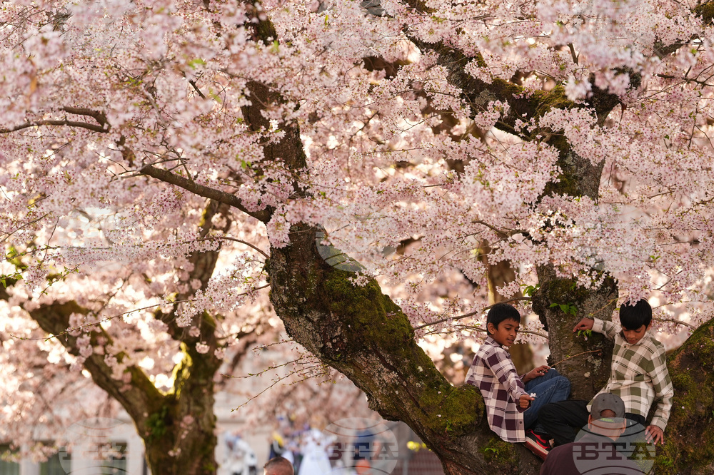 Washington Daily Life