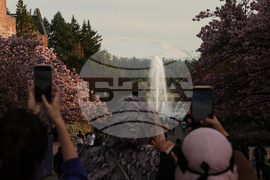 Washington Daily Life