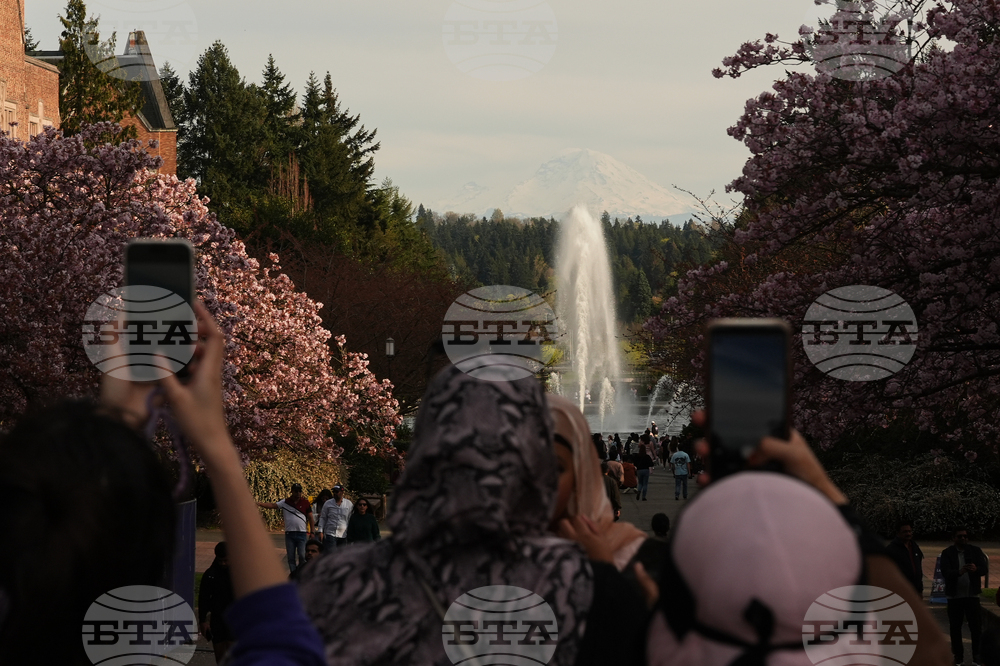 Washington Daily Life