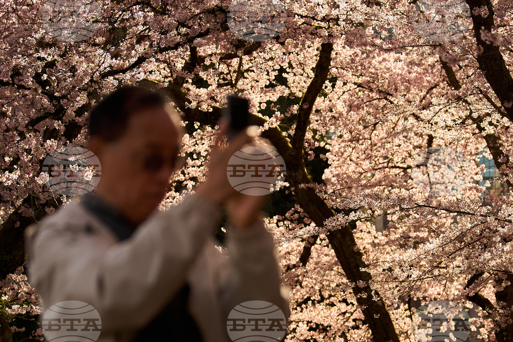 Washington Daily Life