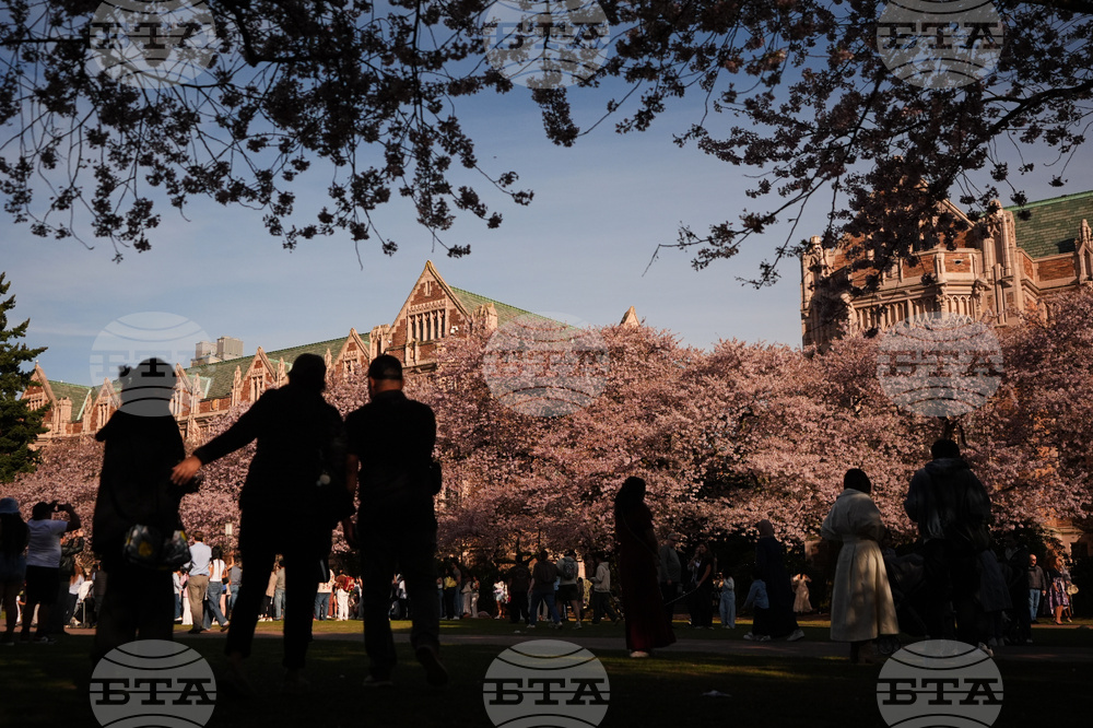 Washington Daily Life