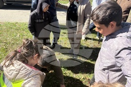 Самоков - Седмица на гората