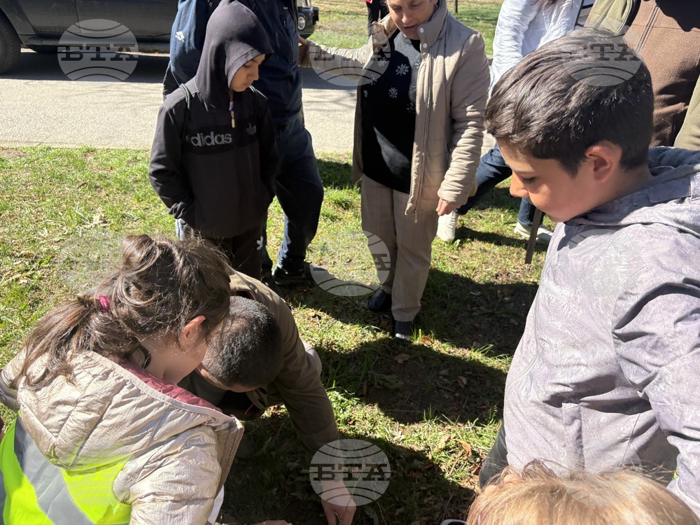 Самоков - Седмица на гората