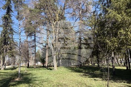 Самоков - Седмица на гората