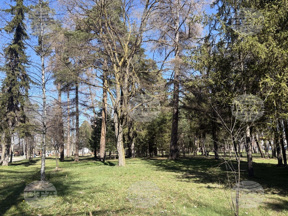 Самоков - Седмица на гората