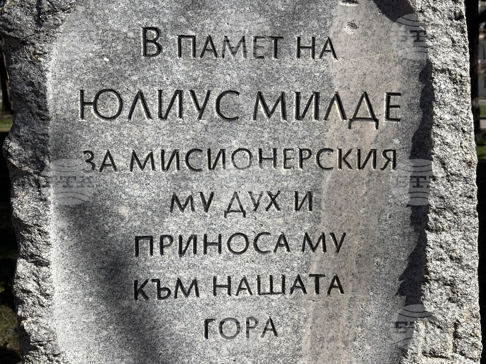 Самоков - Седмица на гората