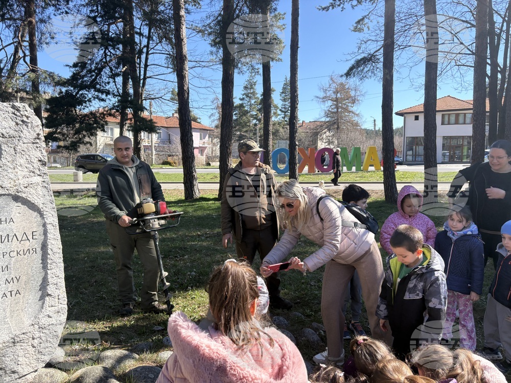 Самоков - Седмица на гората