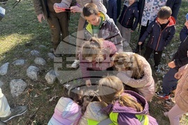 Самоков - Седмица на гората