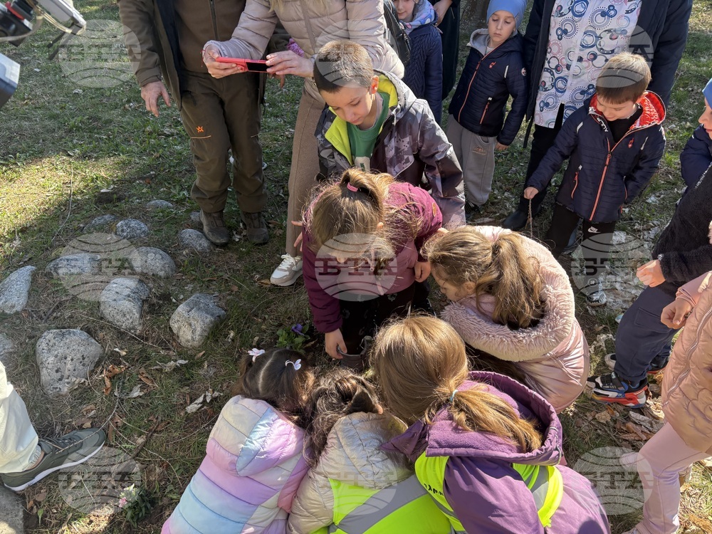 Самоков - Седмица на гората