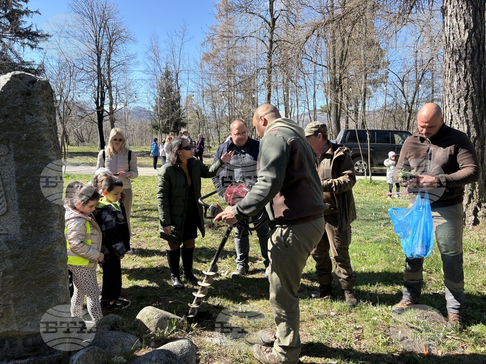 Самоков - Седмица на гората