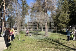 Самоков - Седмица на гората