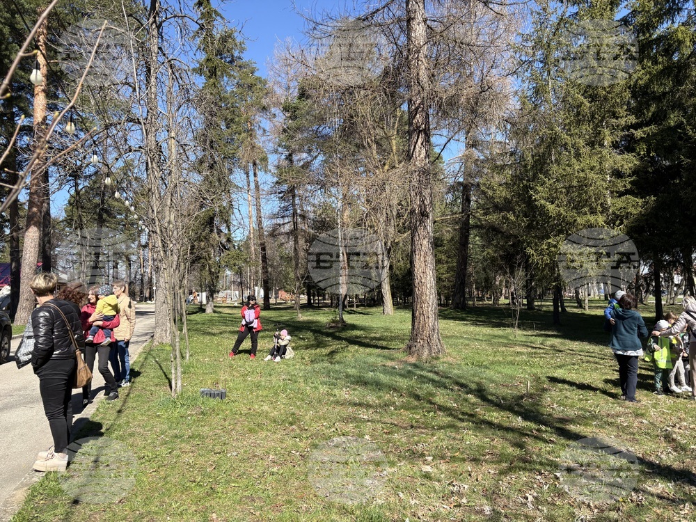 Самоков - Седмица на гората