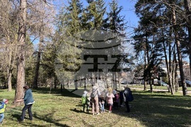 Самоков - Седмица на гората