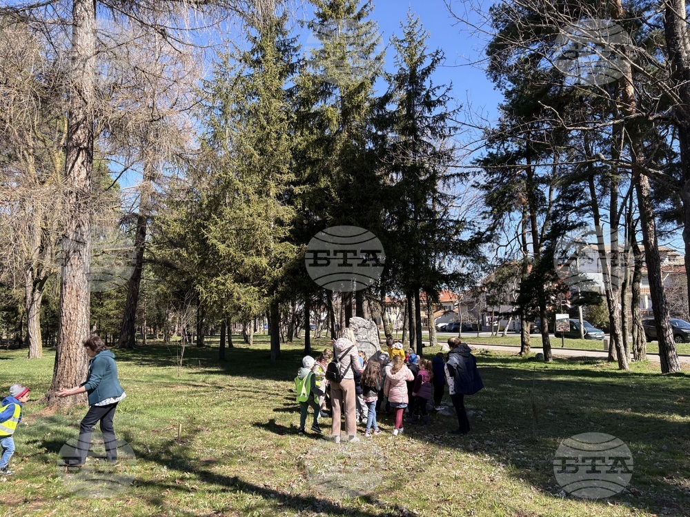 Самоков - Седмица на гората