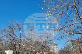 Плевен - Великден - нова украса