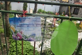 Петрич - къща-музей „Ванга“ - великденска украса