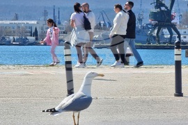 Варна - топло време