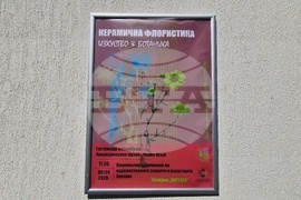 Село Орешак - „Керамична флористика - изкуство и ботаника“ - изложба