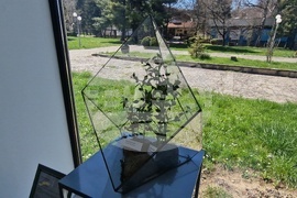 Село Орешак - „Керамична флористика - изкуство и ботаника“ - изложба