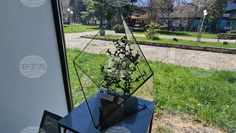 Село Орешак - „Керамична флористика - изкуство и ботаника“ - изложба