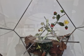 Село Орешак - „Керамична флористика - изкуство и ботаника“ - изложба