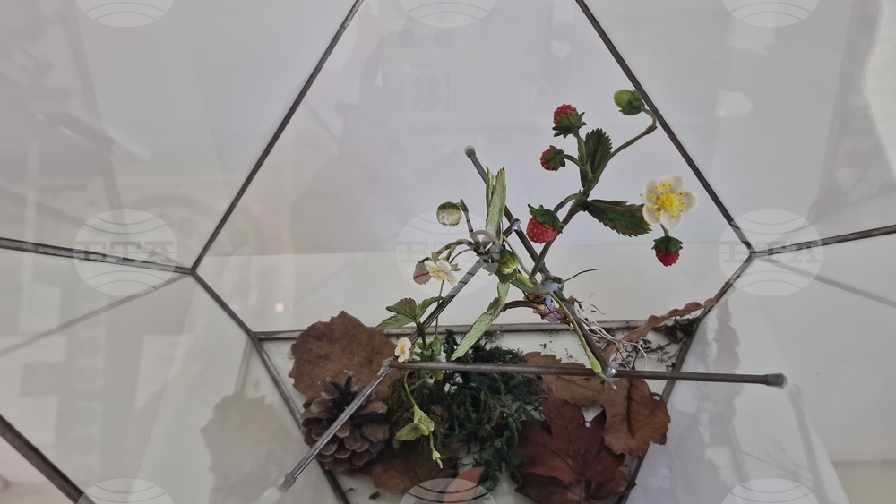 Село Орешак - „Керамична флористика - изкуство и ботаника“ - изложба