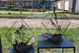 Село Орешак - „Керамична флористика - изкуство и ботаника“ - изложба