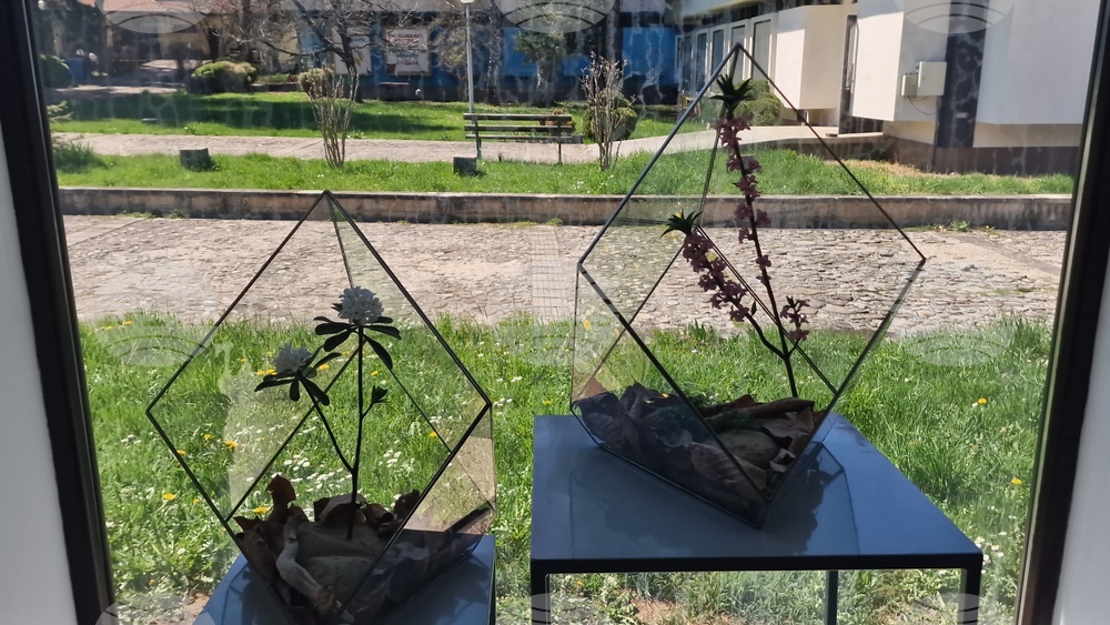 Село Орешак - „Керамична флористика - изкуство и ботаника“ - изложба