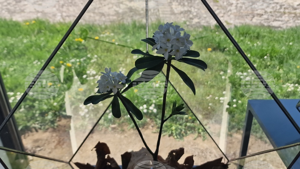 Село Орешак - „Керамична флористика - изкуство и ботаника“ - изложба