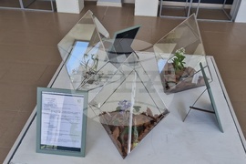 Село Орешак - „Керамична флористика - изкуство и ботаника“ - изложба