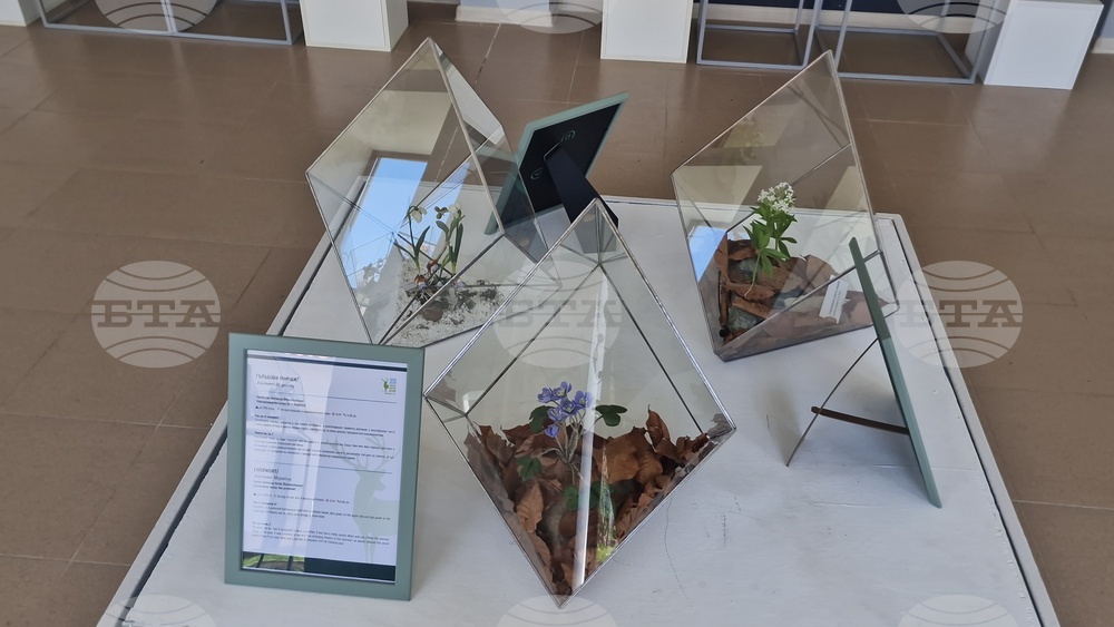 Село Орешак - „Керамична флористика - изкуство и ботаника“ - изложба