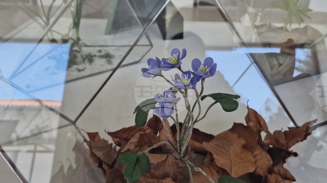 Изложба на керамична флористика представя растителното богатство на Средна Стара планина в Орешак