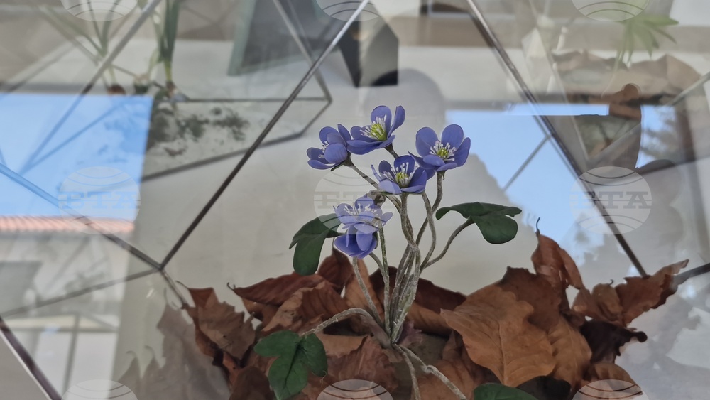 Село Орешак - „Керамична флористика - изкуство и ботаника“ - изложба