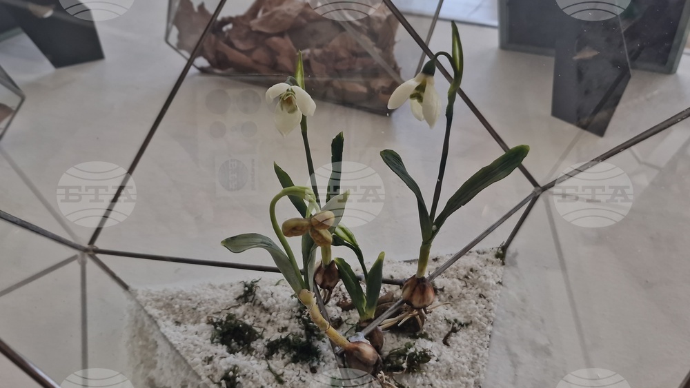 Село Орешак - „Керамична флористика - изкуство и ботаника“ - изложба