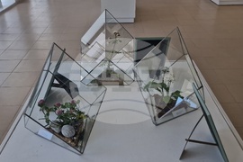 Село Орешак - „Керамична флористика - изкуство и ботаника“ - изложба