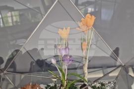 Село Орешак - „Керамична флористика - изкуство и ботаника“ - изложба