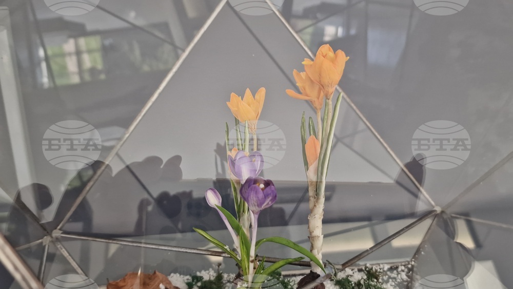 Село Орешак - „Керамична флористика - изкуство и ботаника“ - изложба