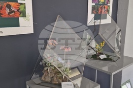 Село Орешак - „Керамична флористика - изкуство и ботаника“ - изложба