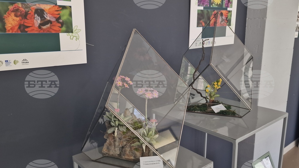 Село Орешак - „Керамична флористика - изкуство и ботаника“ - изложба