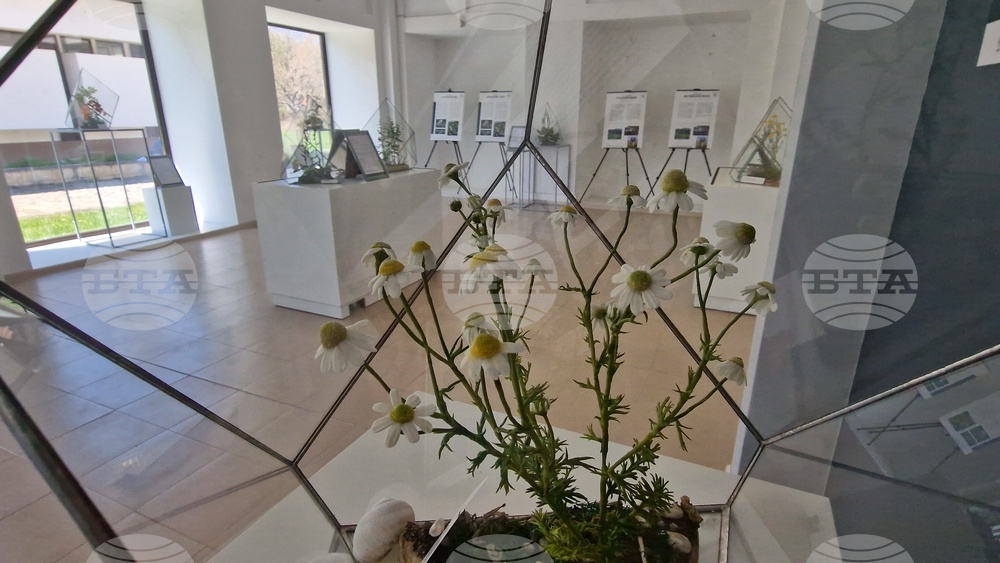 Село Орешак - „Керамична флористика - изкуство и ботаника“ - изложба