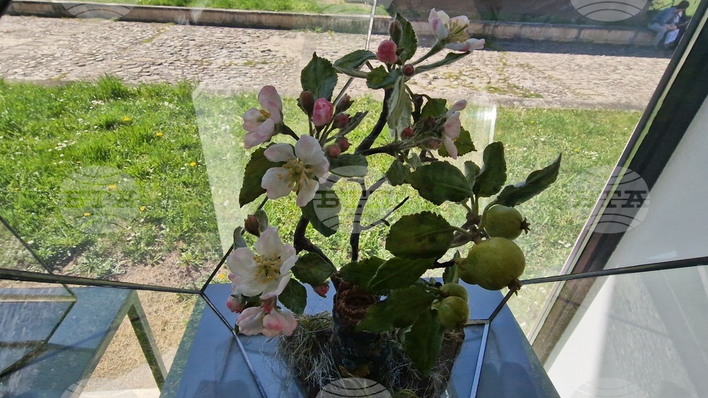 Село Орешак - „Керамична флористика - изкуство и ботаника“ - изложба